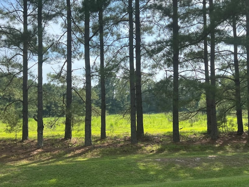3466 Matthews Mill Pond Rd Lot 1, Angier, NC 27501