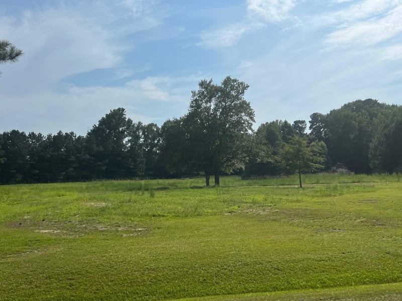 3466 Matthews Mill Pond Rd Lot 1, Angier, NC 27501