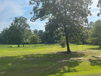 3466 Matthews Mill Pond Rd Lot 1, Angier, NC 27501
