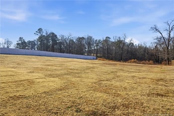 347 Arlie Ln, Lillington, NC 27546