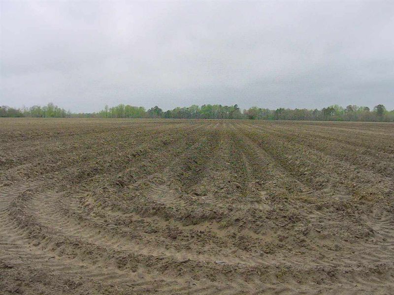 3472 Nc 55 Hw Lot 1 & 2, Dunn, NC 28334