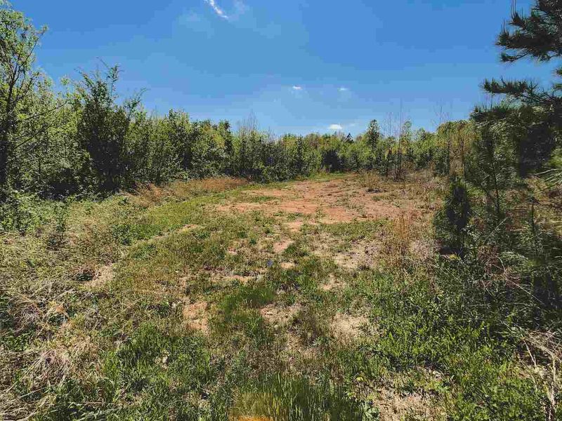 35 Ac. Sutton Rd, Louisburg, NC 27549