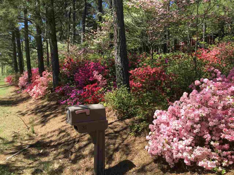 35 Azalea Dr, Louisburg, NC 27549
