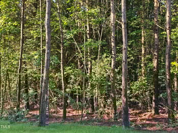 35 Big Bear Dr, Pittsboro, NC 27312