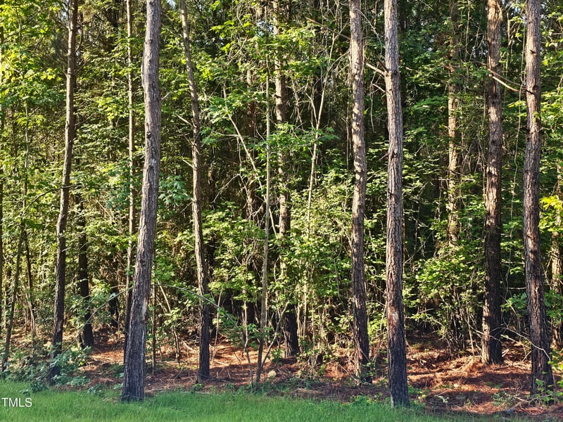 35 Big Bear Dr, Pittsboro, NC 27312