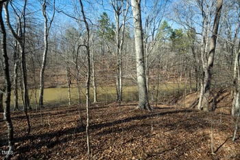 35 Summer Oak Dr Lot 35, Roxboro, NC 27573