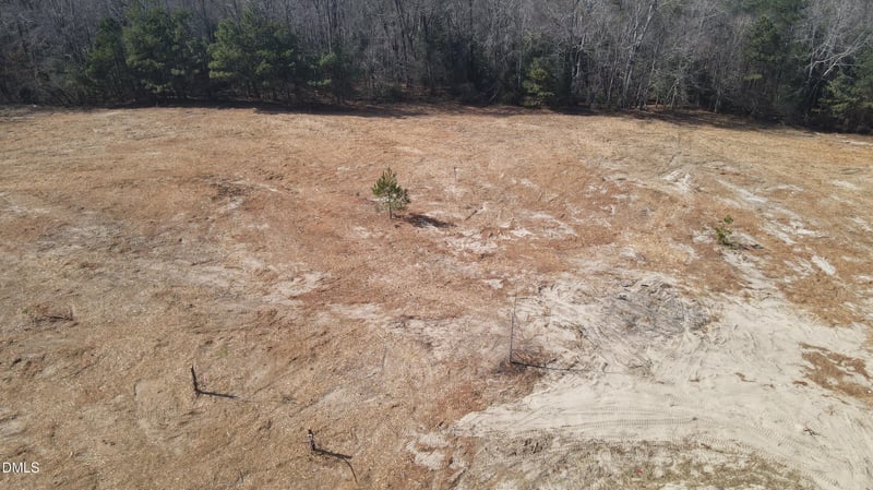 35 Woods Hill Lane Dr, Benson, NC 27504