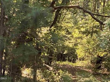 3513 Cheek Rd, Durham, NC 27704