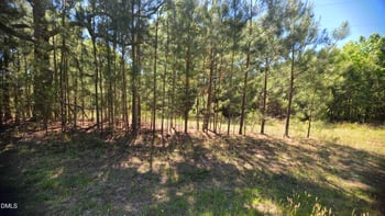 352 Laurel Mill Rd, Louisburg, NC 27549