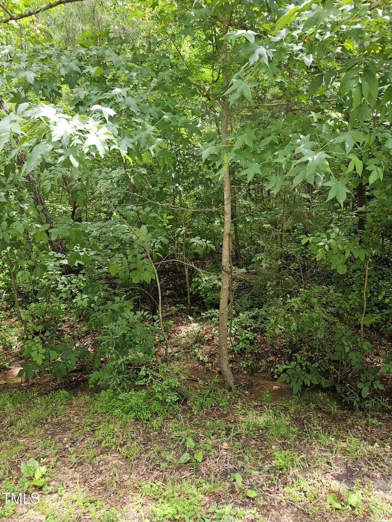 3521 Esther Dr, Durham, NC 27703