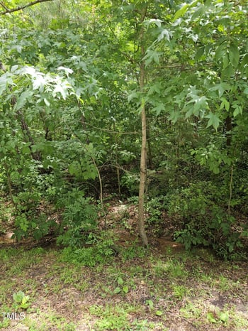 3521 Esther Dr Lot 158145, Durham, NC 27703
