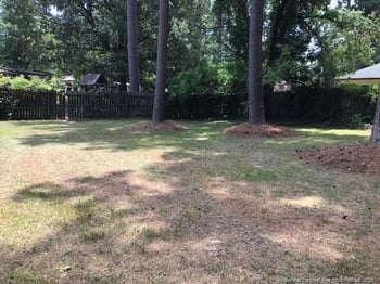 3521 Torbay Dr, Fayetteville, NC 28311