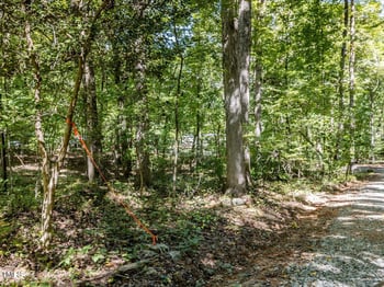 353 Robert Alston Jr Dr, Pittsboro, NC 27312