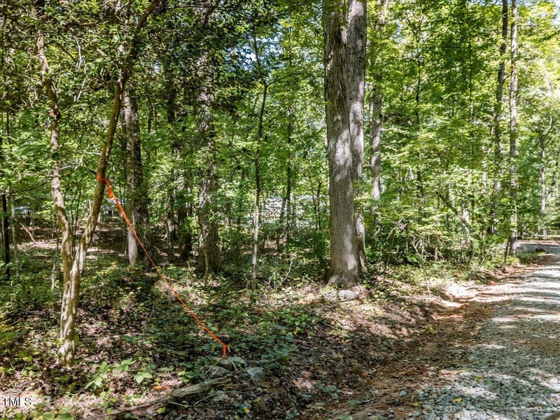 353 Robert Alston Jr Dr, Pittsboro, NC 27312