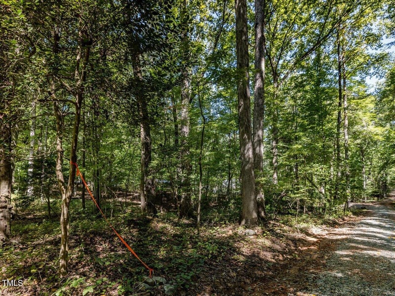 353 Robert Alston Jr Dr, Pittsboro, NC 27312