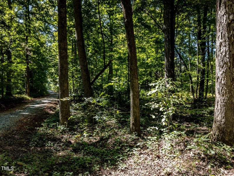 353 Robert Alston Jr Dr, Pittsboro, NC 27312