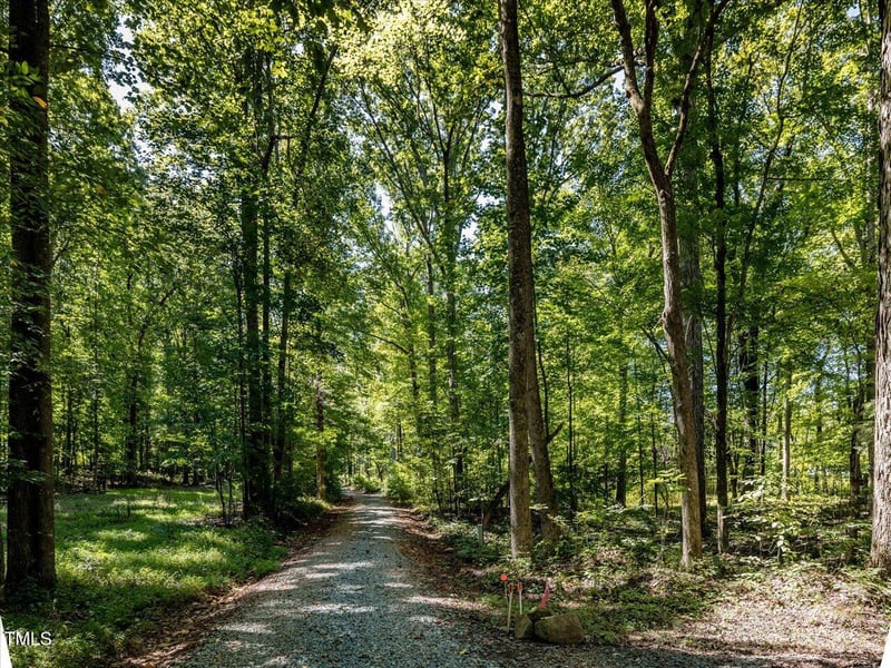353 Robert Alston Jr Dr, Pittsboro, NC 27312