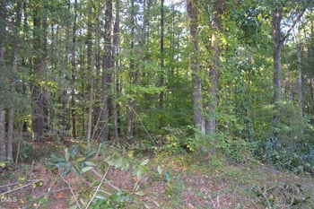 3533 Gibson Rd, Durham, NC 27703