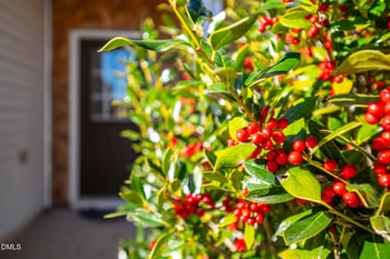 3548 Althorp Dr, Raleigh, NC 27616