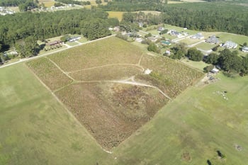 355 Lot 1- Janie Rd, Selma, NC 27576