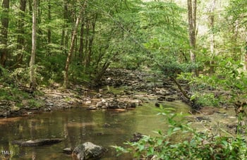 36 Blufftonwood Dr Lot 42, Pittsboro, NC 27312