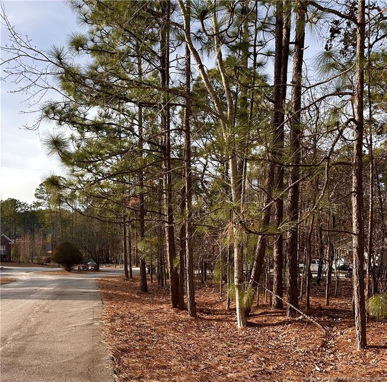 36 Magnolia Ct, Sanford, NC 27332