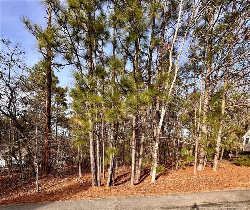 36 Magnolia Ct, Sanford, NC 27332
