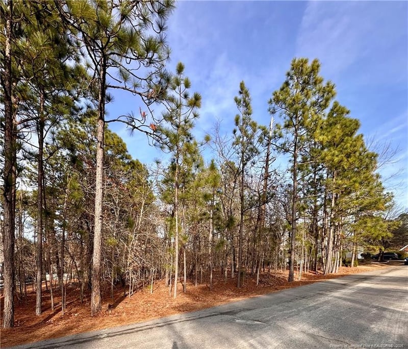 36 Magnolia Ct, Sanford, NC 27332