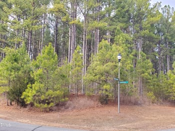 36 Rosefield Ct, Pittsboro, NC 27312