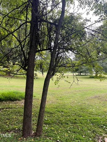 3604 Mijos Ln Lot 48, Chapel Hill, NC 27514