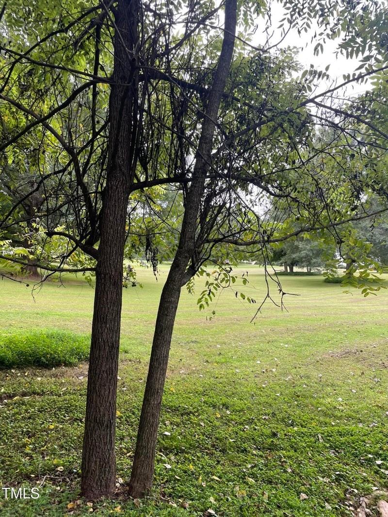 3604 Mijos Ln Lot 48, Chapel Hill, NC 27514