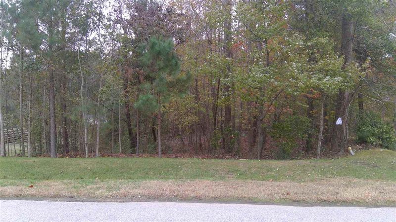 3613 Griffice Mill Rd Lot 21, Raleigh, NC 27610