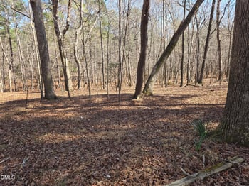3620 Hawk Ridge Rd Lot M4, Chapel Hill, NC 27516