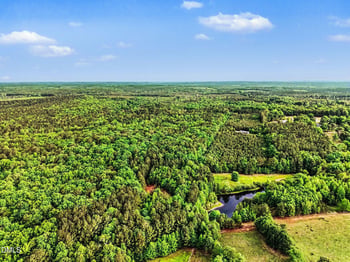 3631 Harrison Rd, Castalia, NC 27816