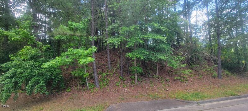 364 Pearson Dr Lot 54-57, Durham, NC 27713