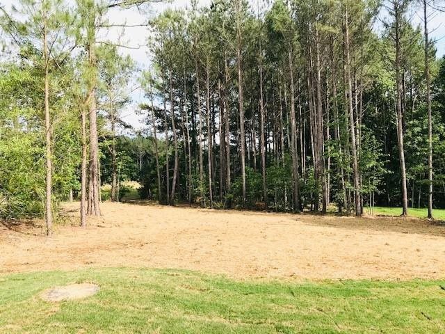 367 Gianna Dr #472, Clayton, NC 27527