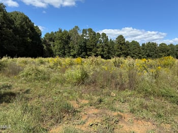 3718 Hinton Mill Ct, Franklinton, NC 27525