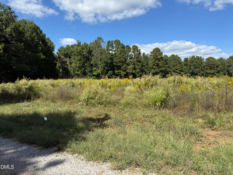 3718 Hinton Mill Ct, Franklinton, NC 27525