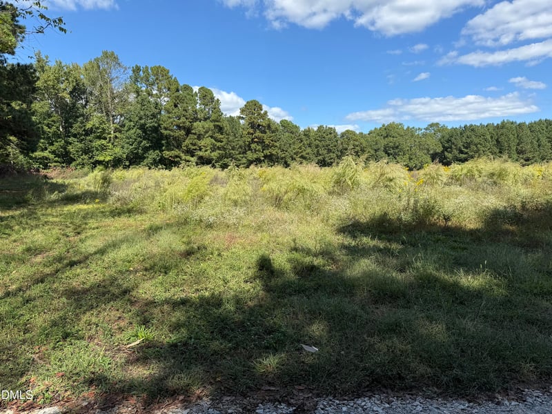 3718 Hinton Mill Ct, Franklinton, NC 27525