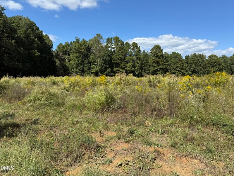 3718 Hinton Mill Ct, Franklinton, NC 27525