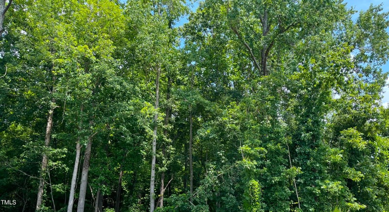 372 Catheys Creek Cir, Wendell, NC 27591