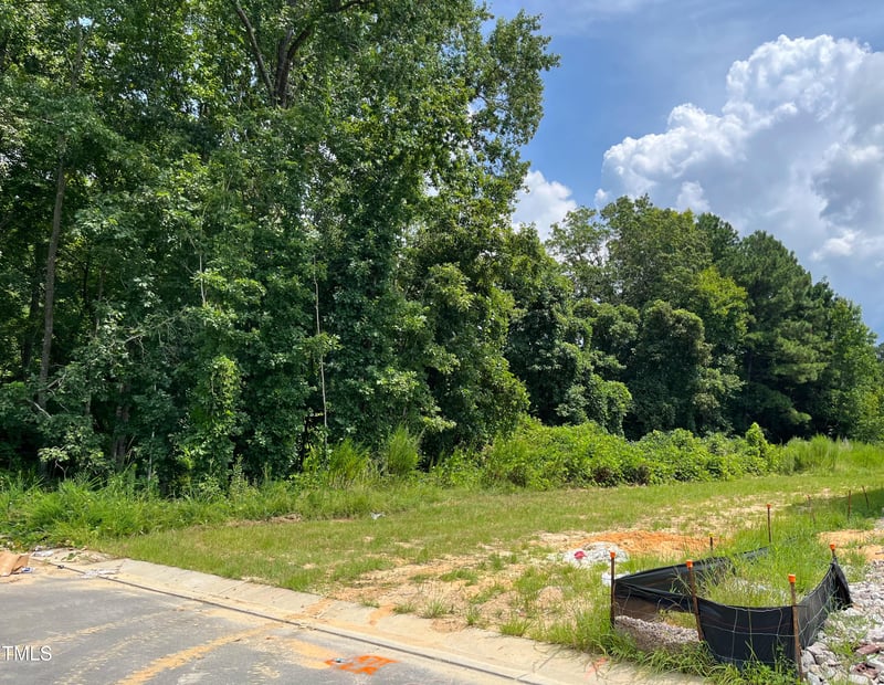 372 Catheys Creek Cir, Wendell, NC 27591