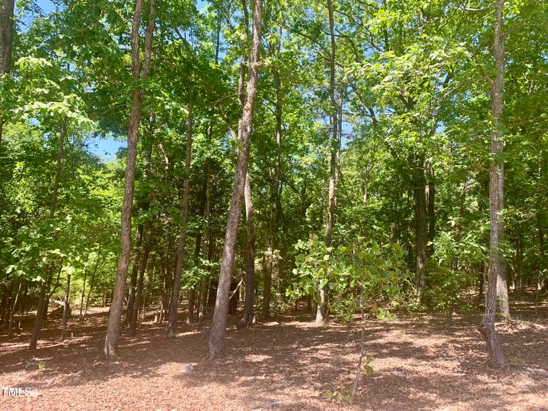 372 Firefly Overlook Lot 27, Pittsboro, NC 27312
