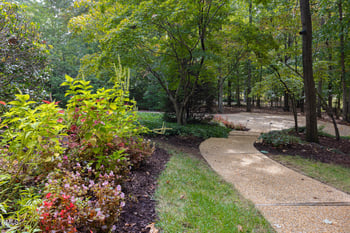 3726 Foxwood Pl, Durham, NC 27705