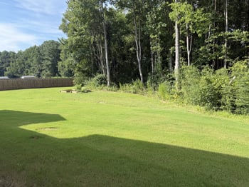 373 Abingdon Farms Dr, Selma, NC 27576