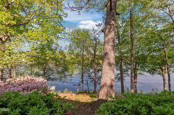 373 Sagamore Dr, Louisburg, NC 27549