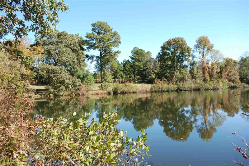 3737 Nc 55 W, Angier, NC 27501
