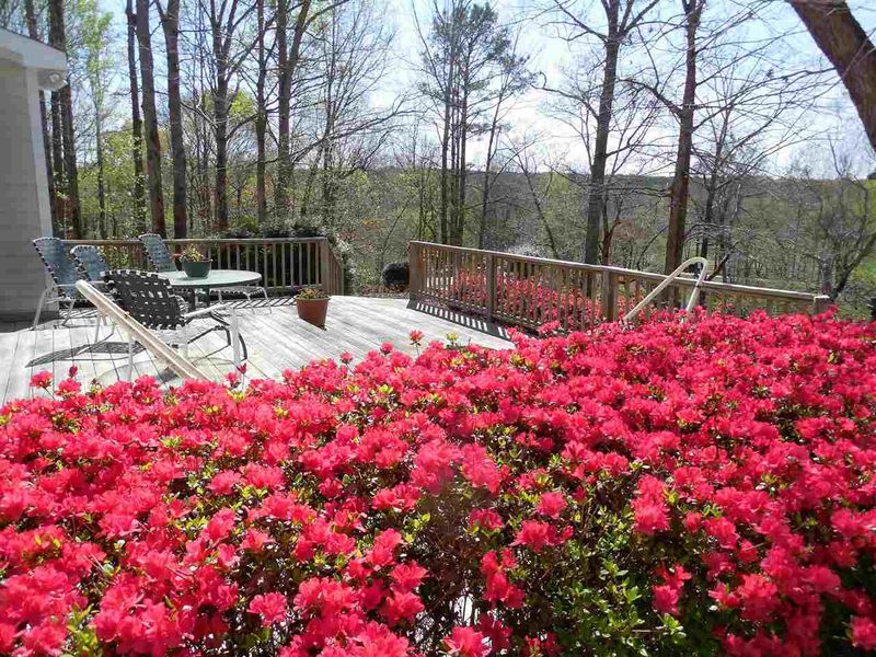 375 Castleberry Rd, Clayton, NC 27527
