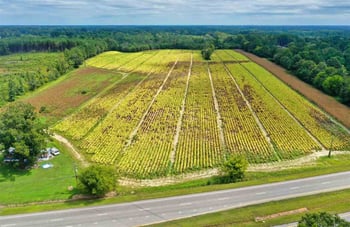 3770 Us 70 Business Hw Lot n/a, Clayton, NC 27520