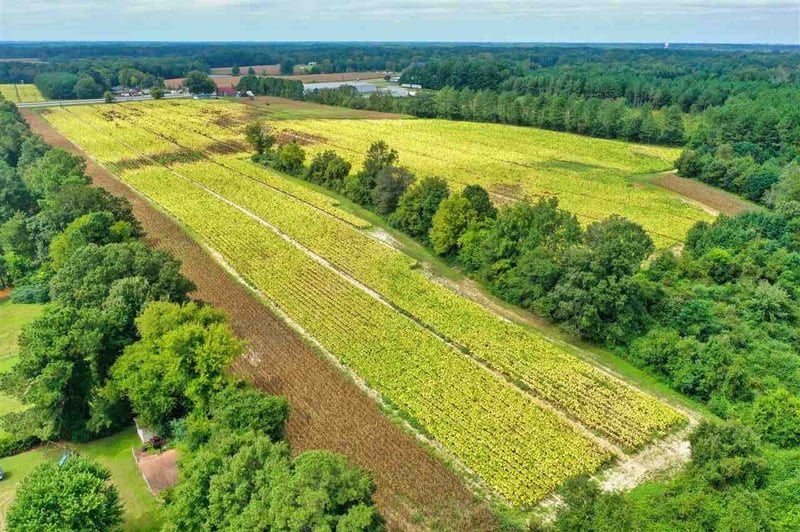 3770 Us 70 Business Hw Lot n/a, Clayton, NC 27520